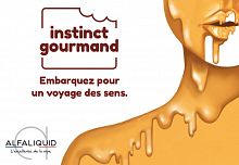 ALFALIQUID INSTINCT GOURMAND 10ml